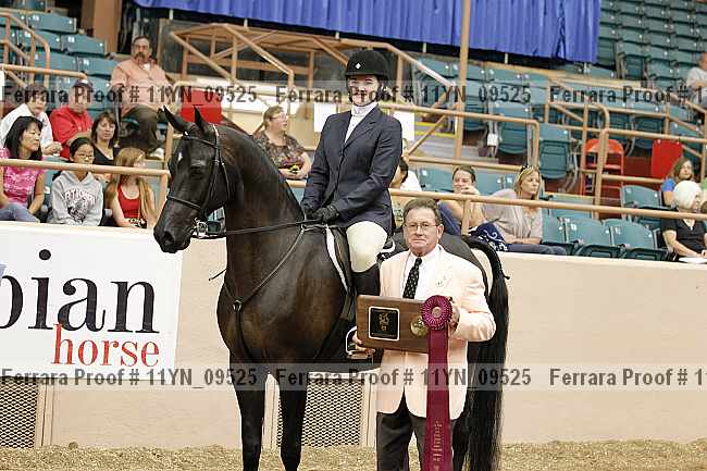 Proof 11yn_09525