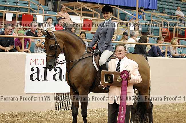 Proof 11yn_09530