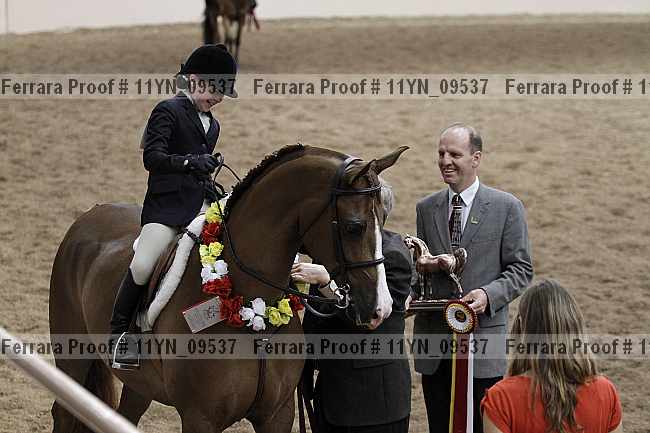 Proof 11yn_09537