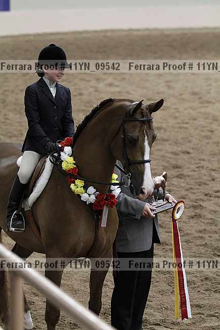 Proof 11yn_09542