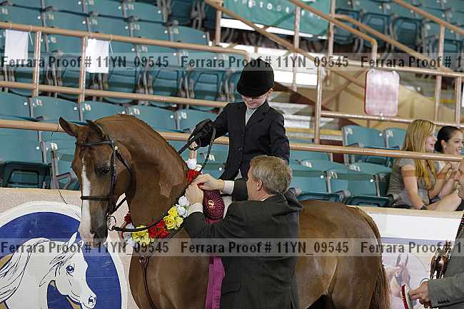 Proof 11yn_09545