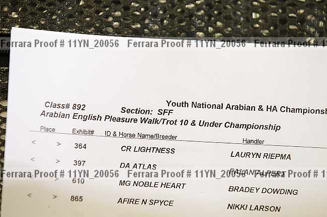 Proof 11yn_20056