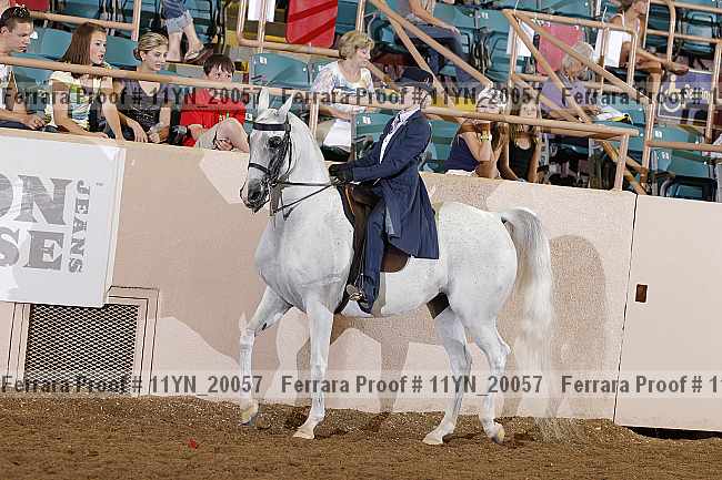 Proof 11yn_20057