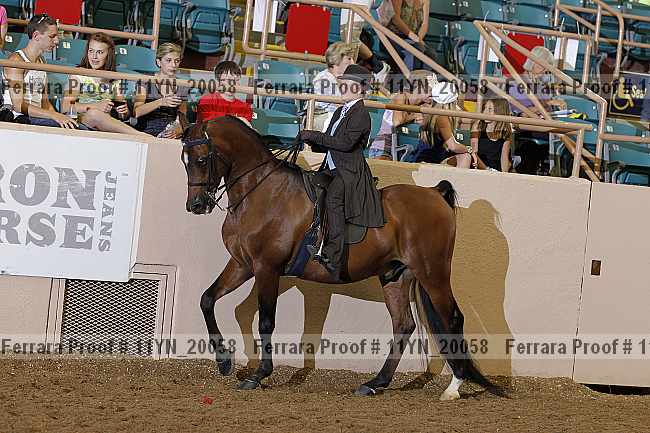 Proof 11yn_20058