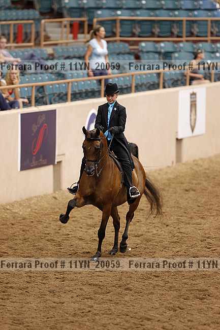 Proof 11yn_20059