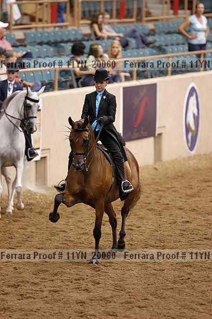 Proof 11yn_20060