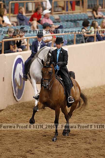 Proof 11yn_20061