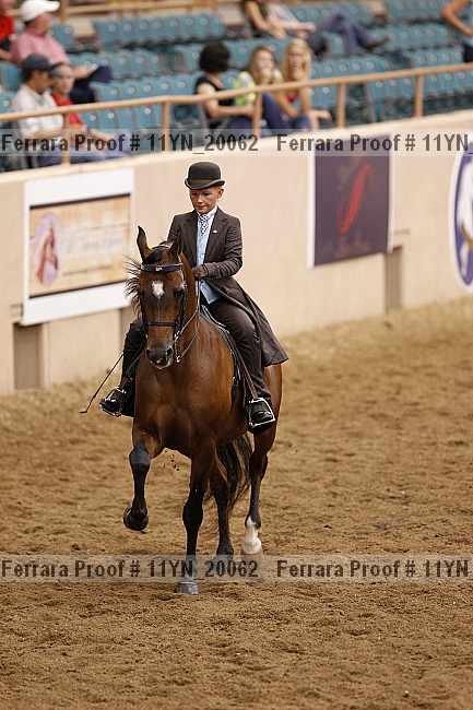 Proof 11yn_20062