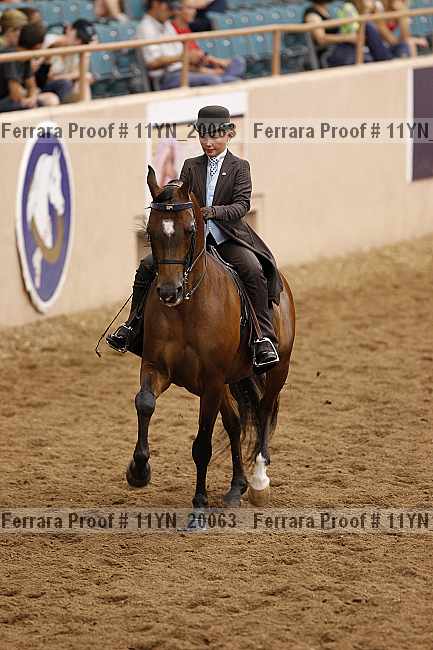 Proof 11yn_20063