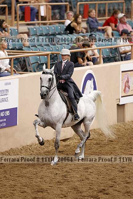 Proof 11yn_20064