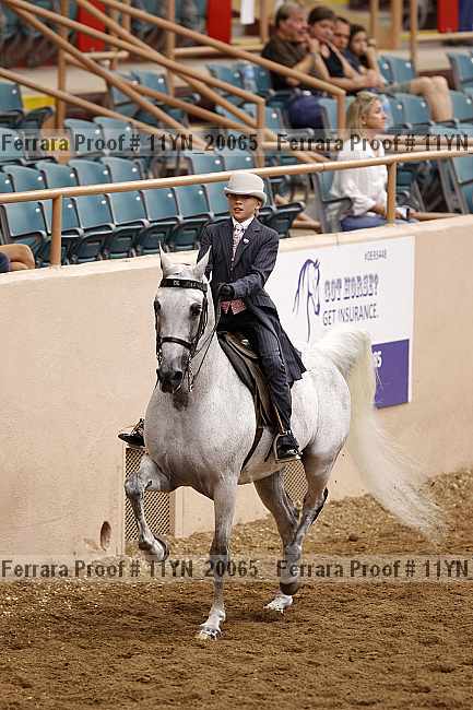 Proof 11yn_20065