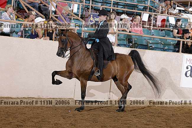 Proof 11yn_20066