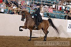 11yn_20066 proof