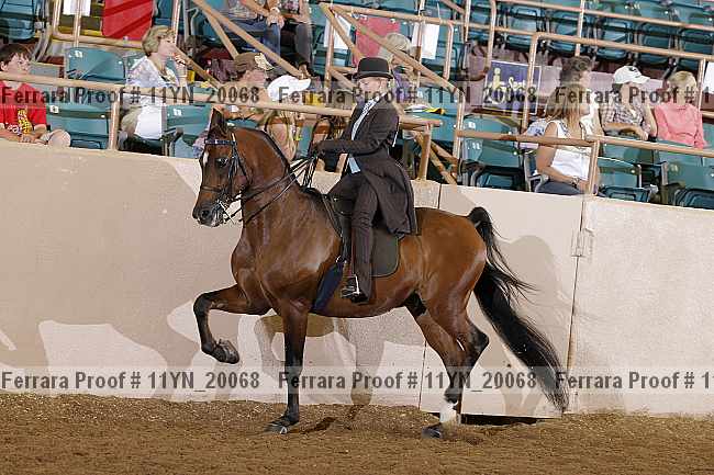 Proof 11yn_20068