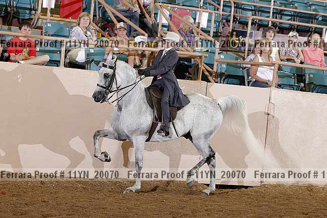 Proof 11yn_20070