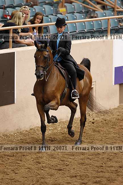 Proof 11yn_20071