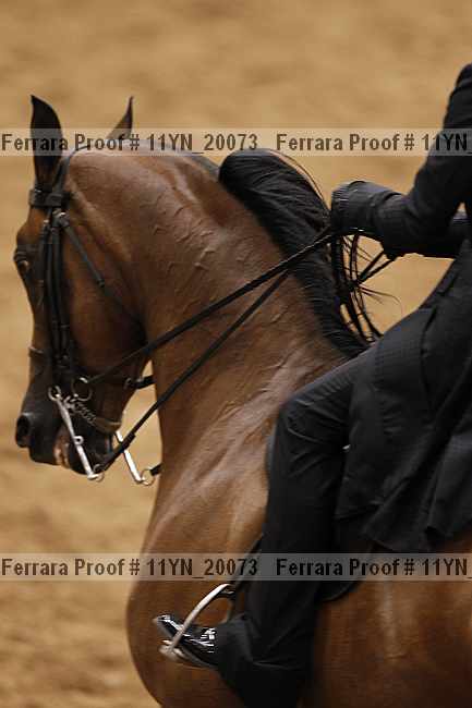 Proof 11yn_20073