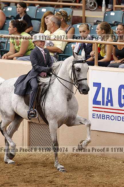 Proof 11yn_20074