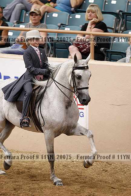 Proof 11yn_20075