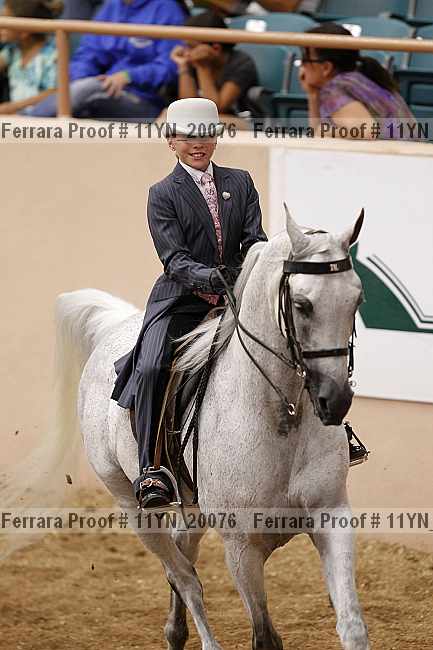 Proof 11yn_20076