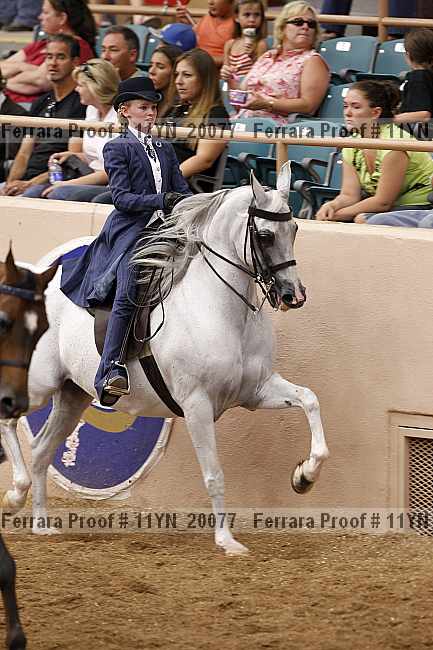 Proof 11yn_20077