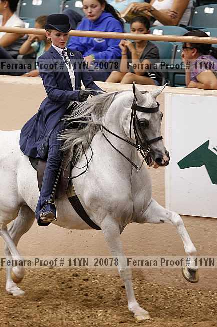 Proof 11yn_20078