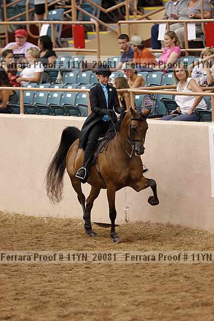 Proof 11yn_20081