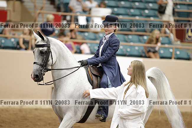 Proof 11yn_20083