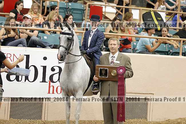 Proof 11yn_20084