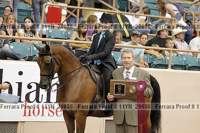 Proof 11yn_20086