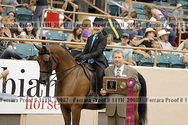 Proof 11yn_20087