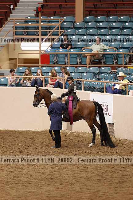 Proof 11yn_20092