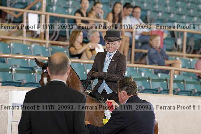 Proof 11yn_20093