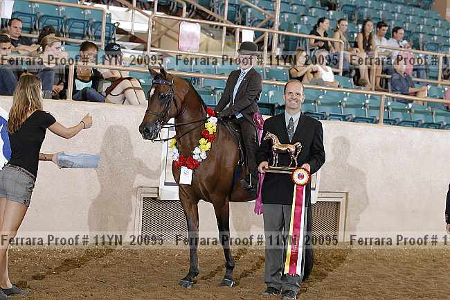Proof 11yn_20095