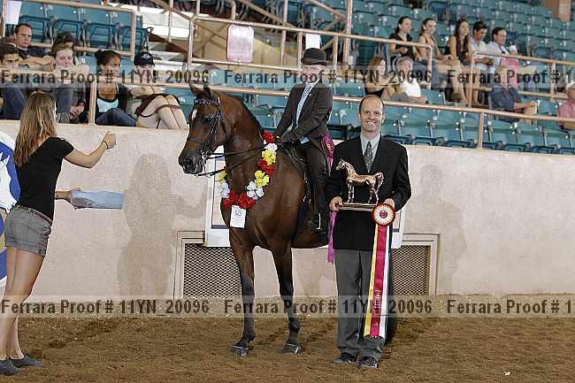 Proof 11yn_20096