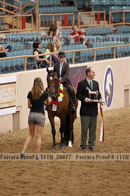 Proof 11yn_20097