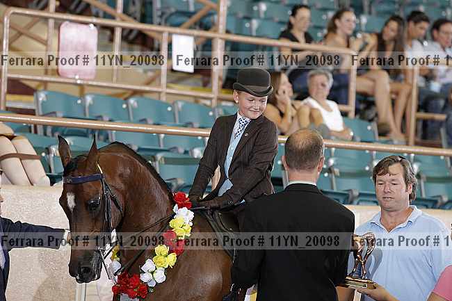 Proof 11yn_20098