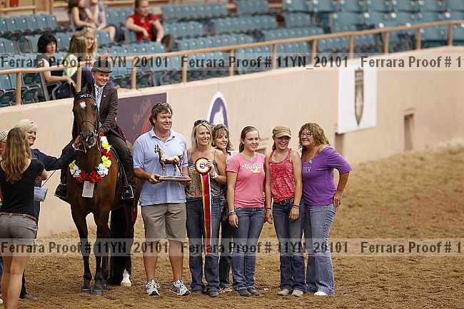 Proof 11yn_20101