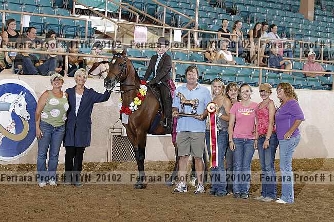 Proof 11yn_20102