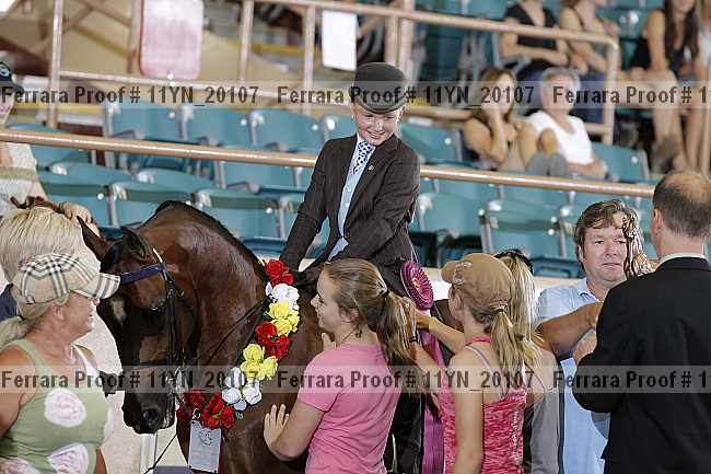 Proof 11yn_20107