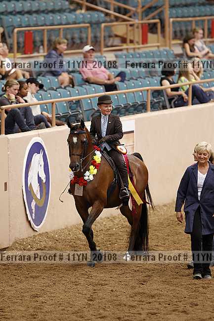 Proof 11yn_20108