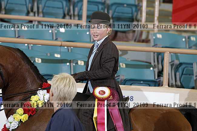 Proof 11yn_20109