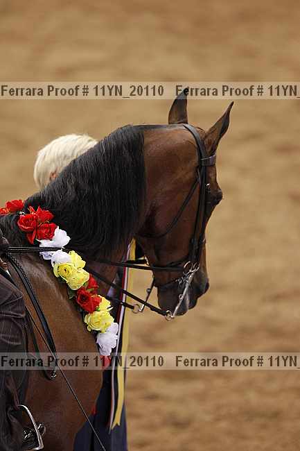 Proof 11yn_20110