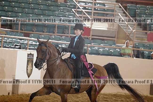 Proof 11yn_20111