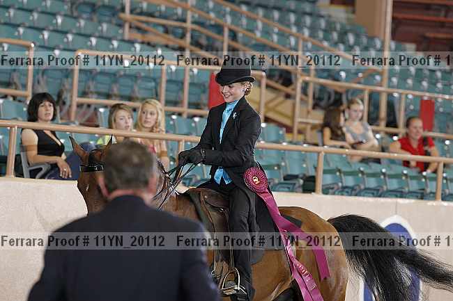 Proof 11yn_20112
