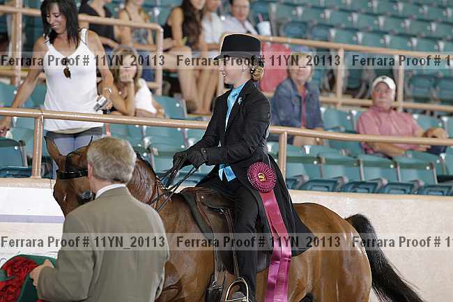 Proof 11yn_20113