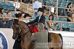 11yn_20114 proof
