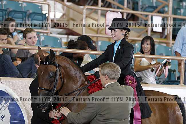 Proof 11yn_20115