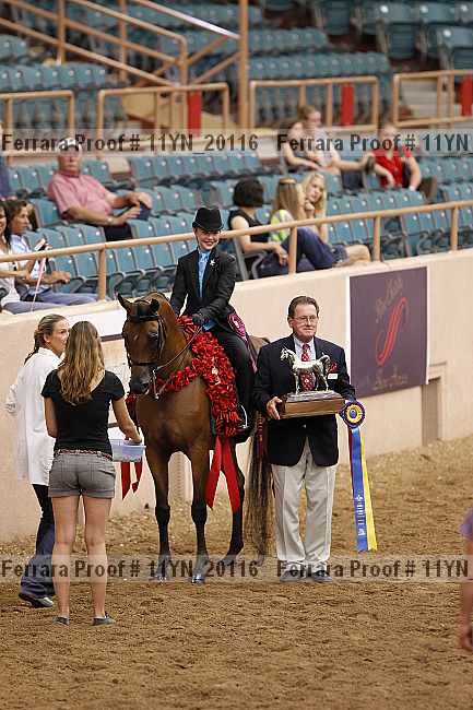 Proof 11yn_20116