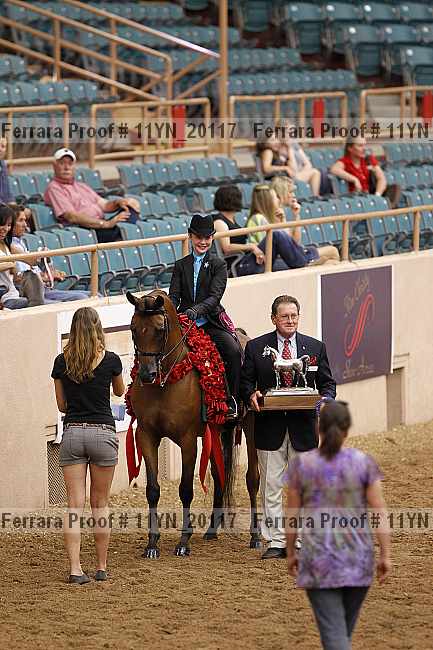 Proof 11yn_20117